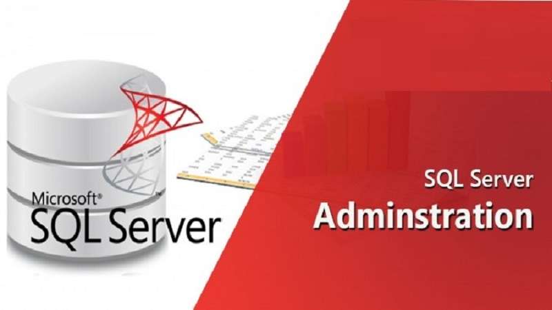 Database Management with MSSQL Server